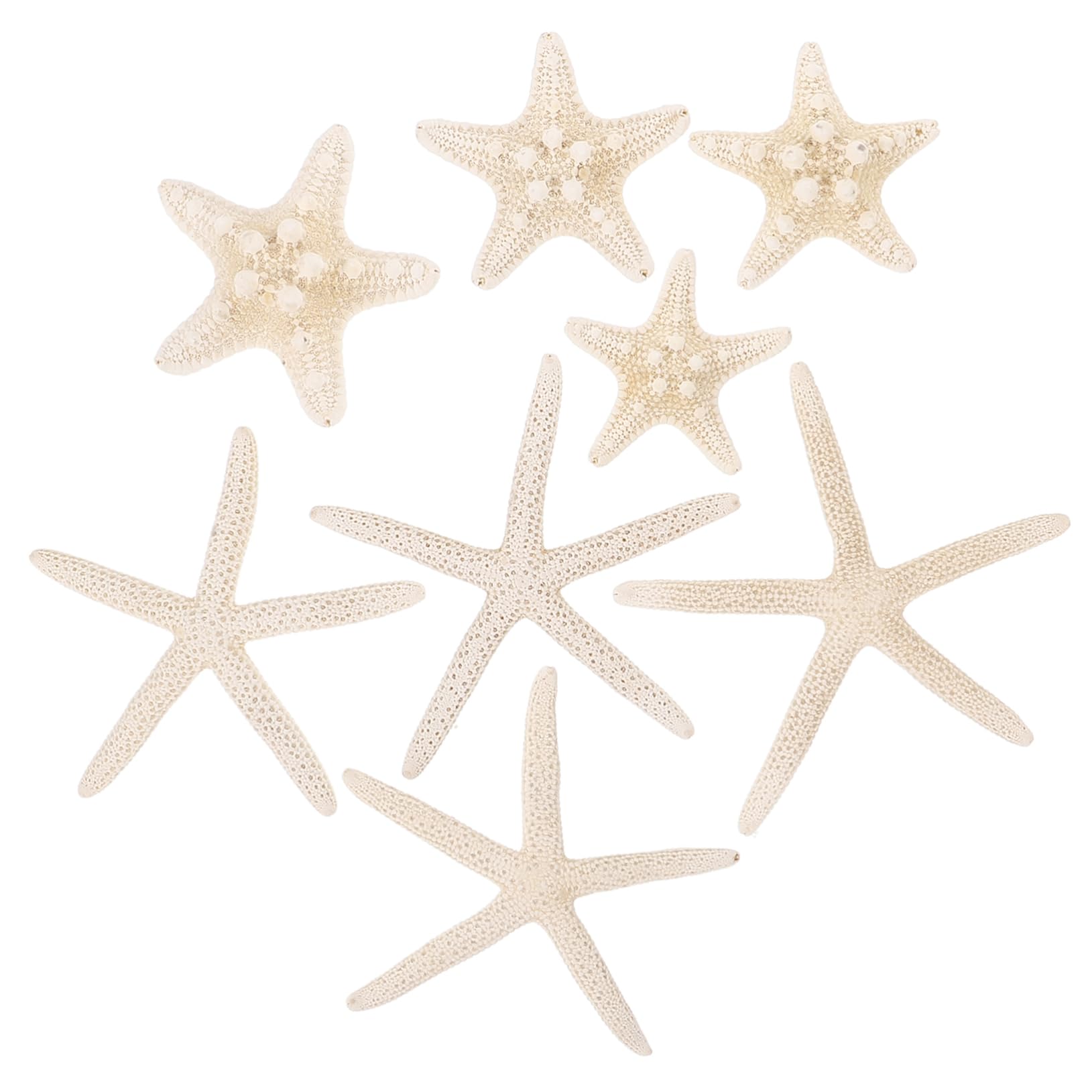 Amazon.co.jp: 8個 ヒトデドリフトボトル 星の魚の殻 工芸品の海の星